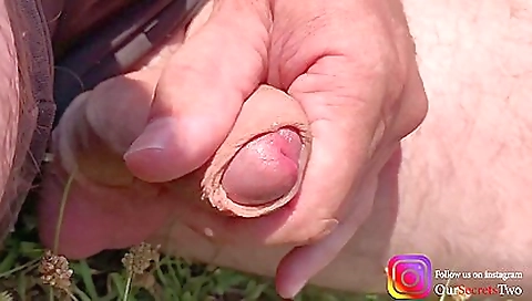 Sa transfing the bestester shove shan